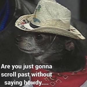 Meet your Posher, Jennifer